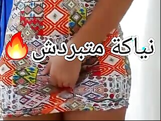 9a7ba,algeroise,t7ok