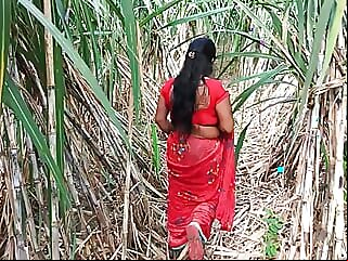 mom,sugarcane,farming